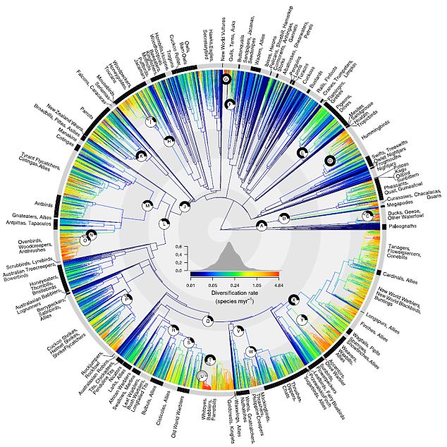 article-2225834-15C7F950000005DC-109_634x634