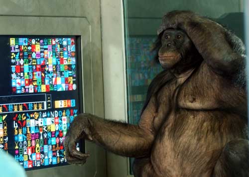 panbanisha-touchscreen