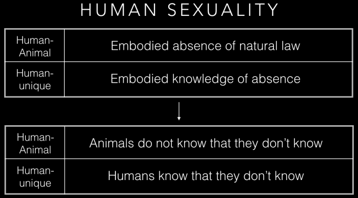 human sex