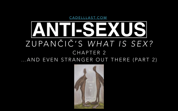 Screen Shot 2018-07-29 at 9.12.34 AM