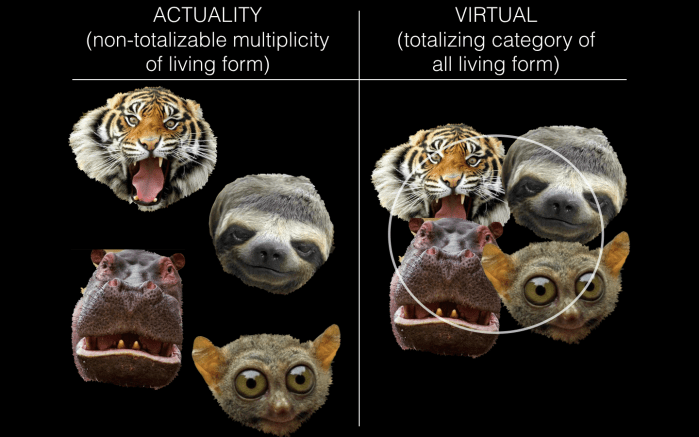 Screen Shot 2018-08-25 at 8.03.39 PM