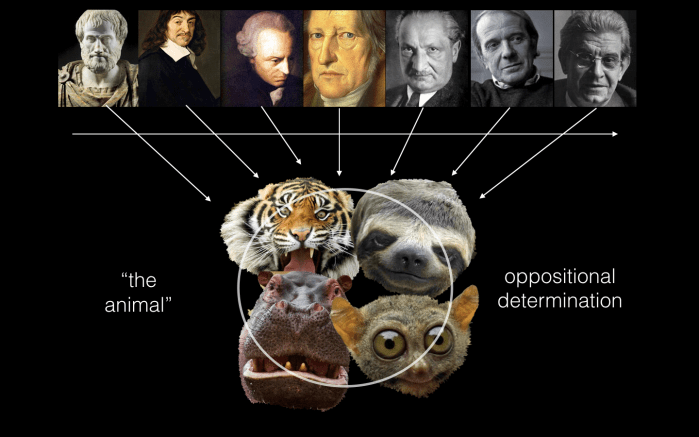 Screen Shot 2018-08-25 at 8.04.17 PM