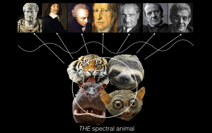 Screen Shot 2018-08-25 at 8.05.01 PM