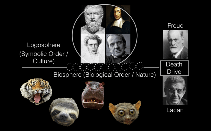 Screen Shot 2018-08-25 at 8.06.42 PM