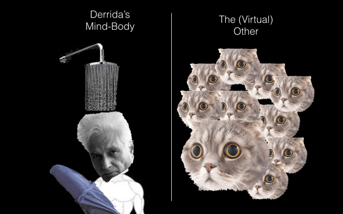 Screen Shot 2018-08-25 at 8.10.35 PM