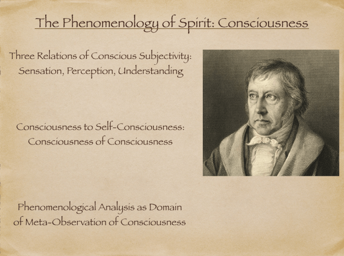 consciousness1